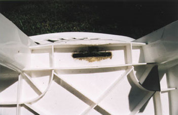 mold growing on lawnchair